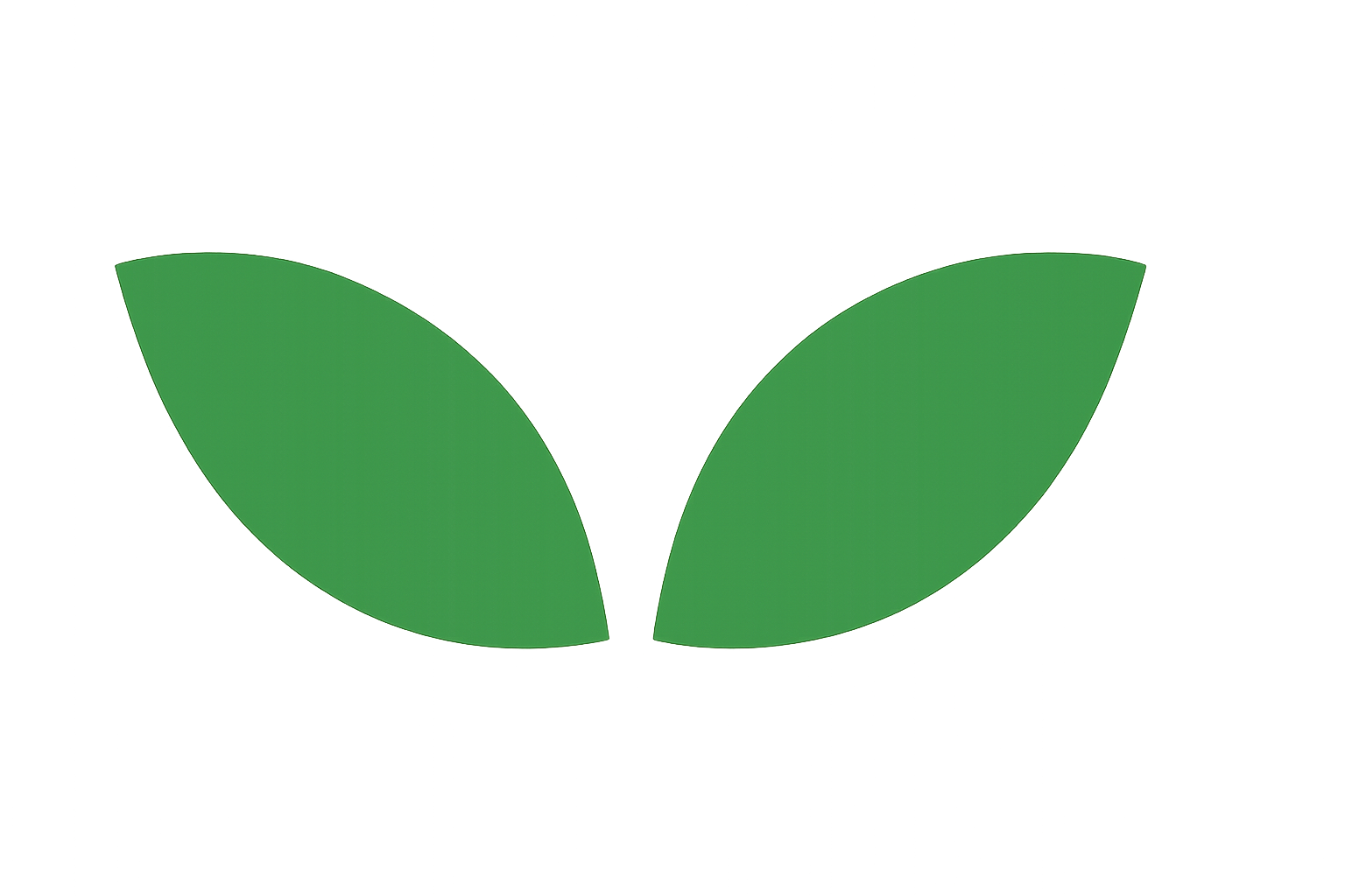 Декоративное изображение